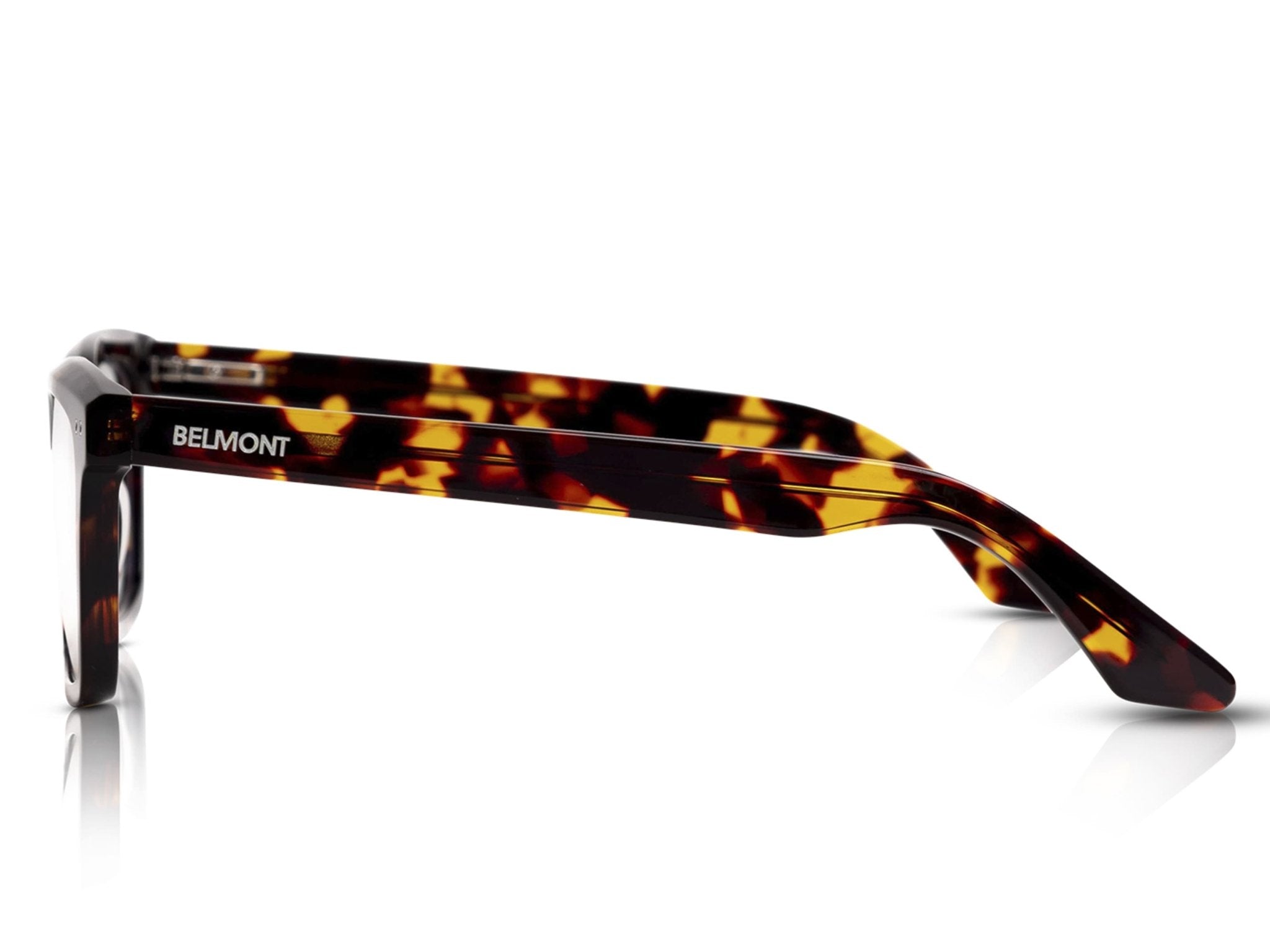 Brixton - BELMONT EYEWEAR