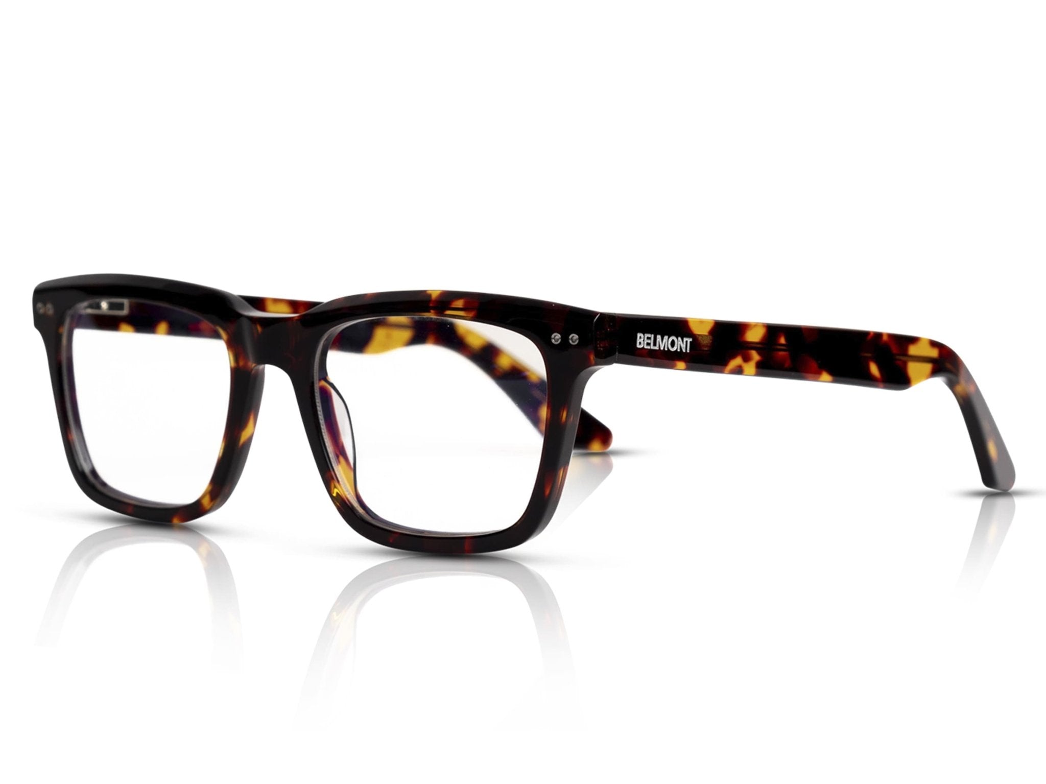 Brixton - BELMONT EYEWEAR