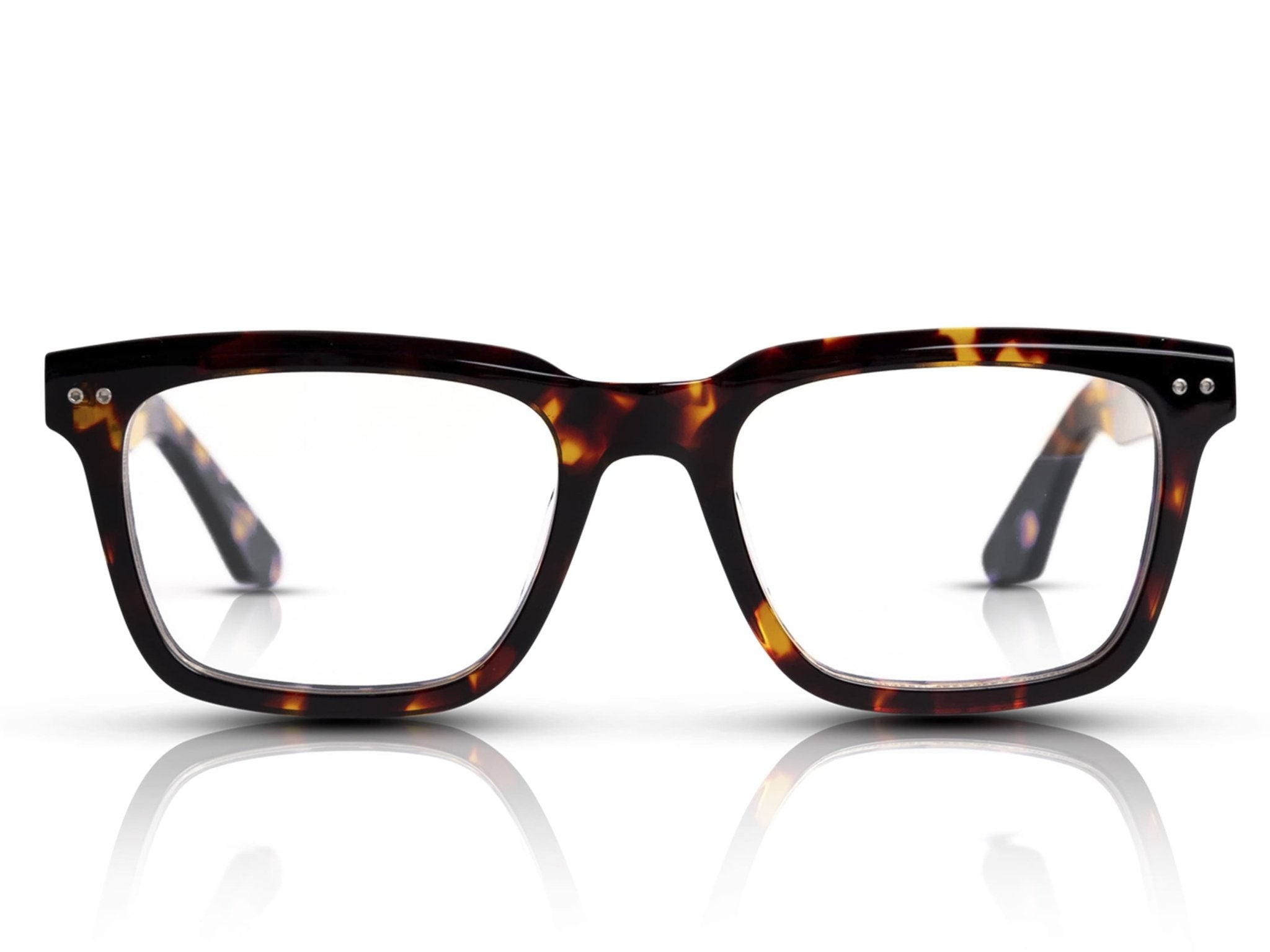 Brixton - BELMONT EYEWEAR